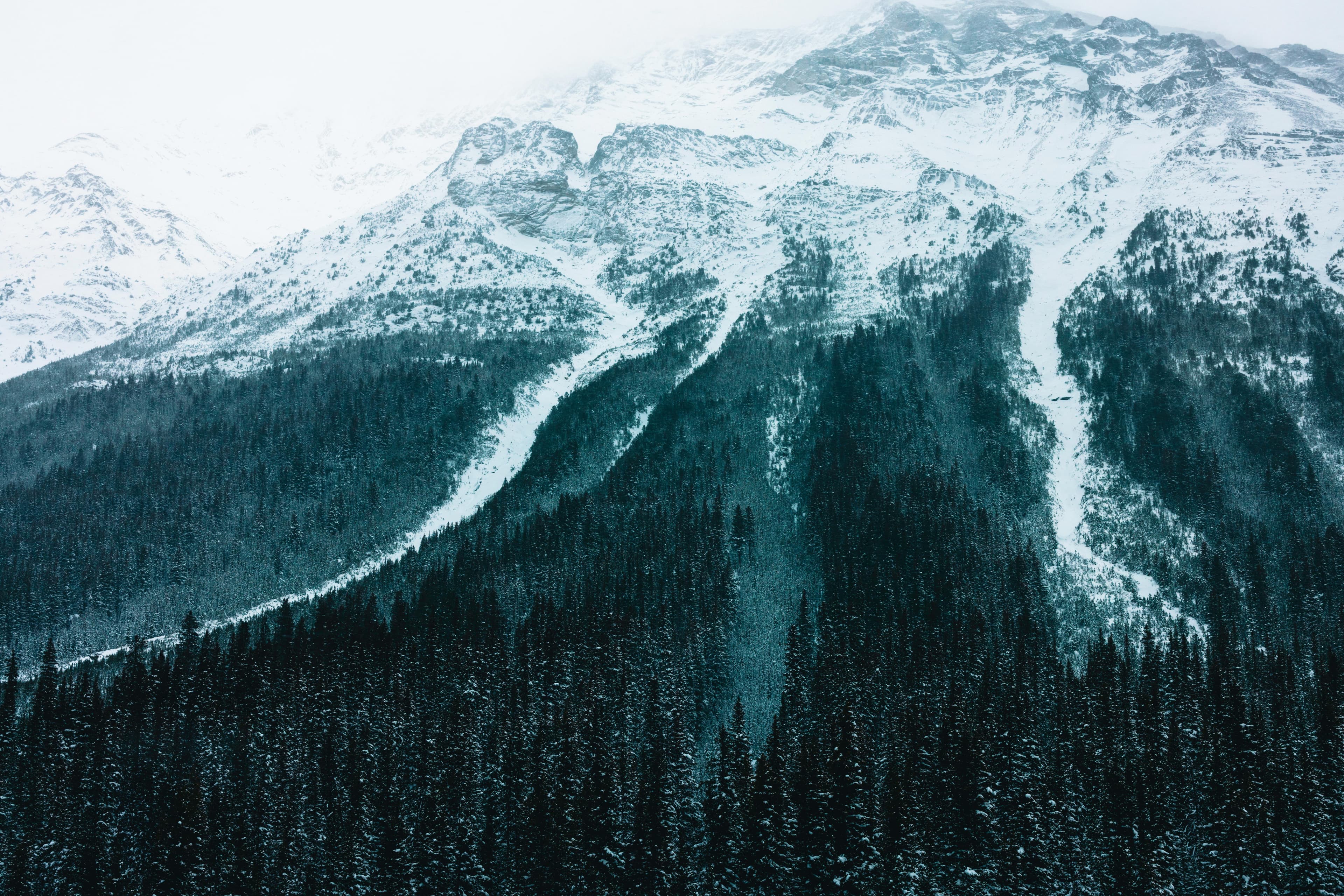 British Colombia