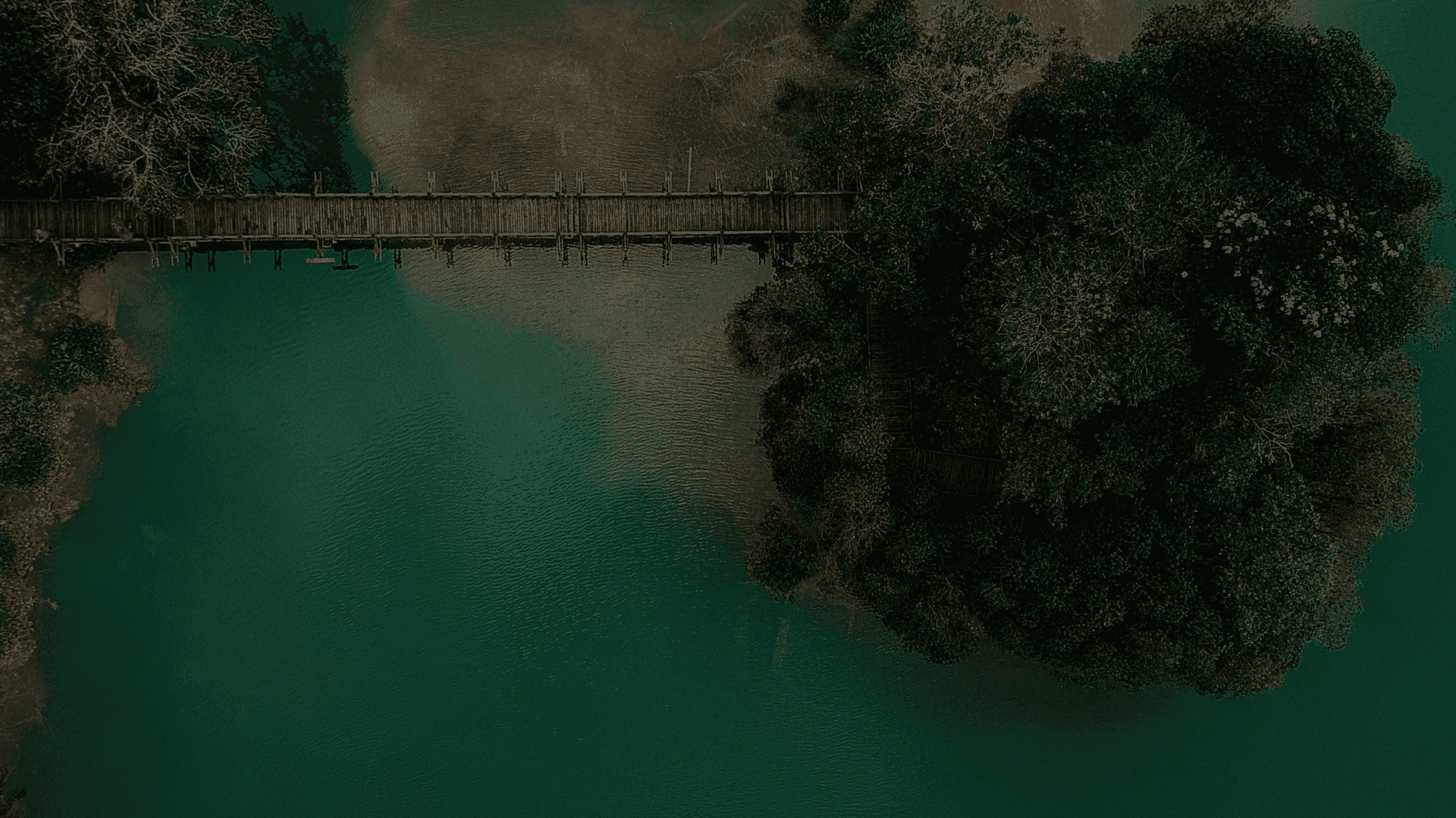 Aerial ocean view