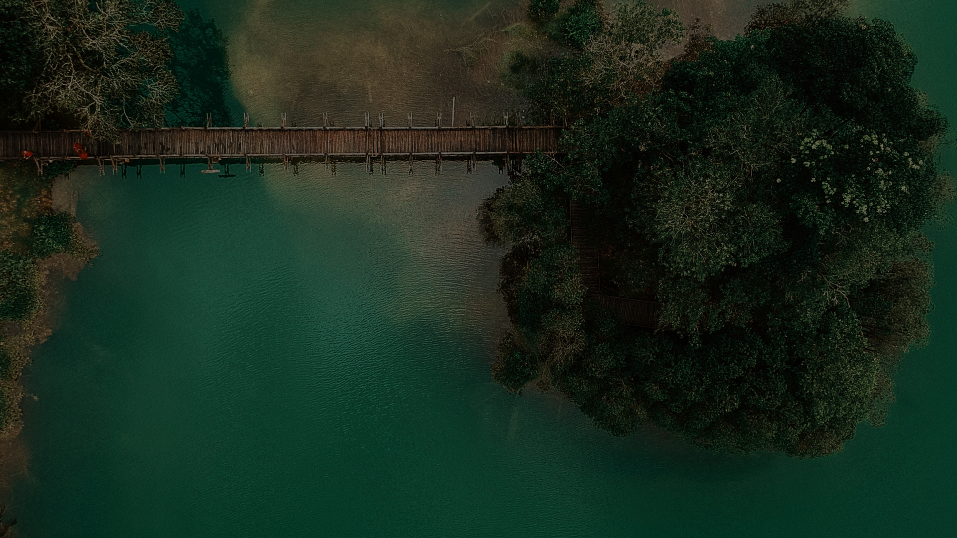 Aerial ocean view